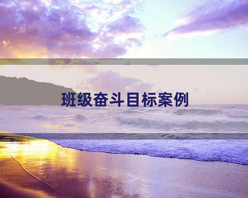 班级奋斗目标案例