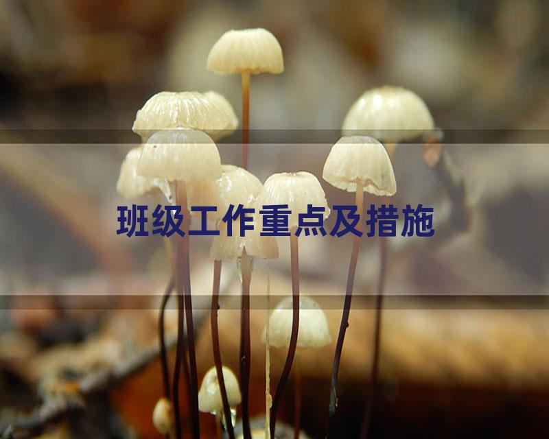 班级工作重点及措施