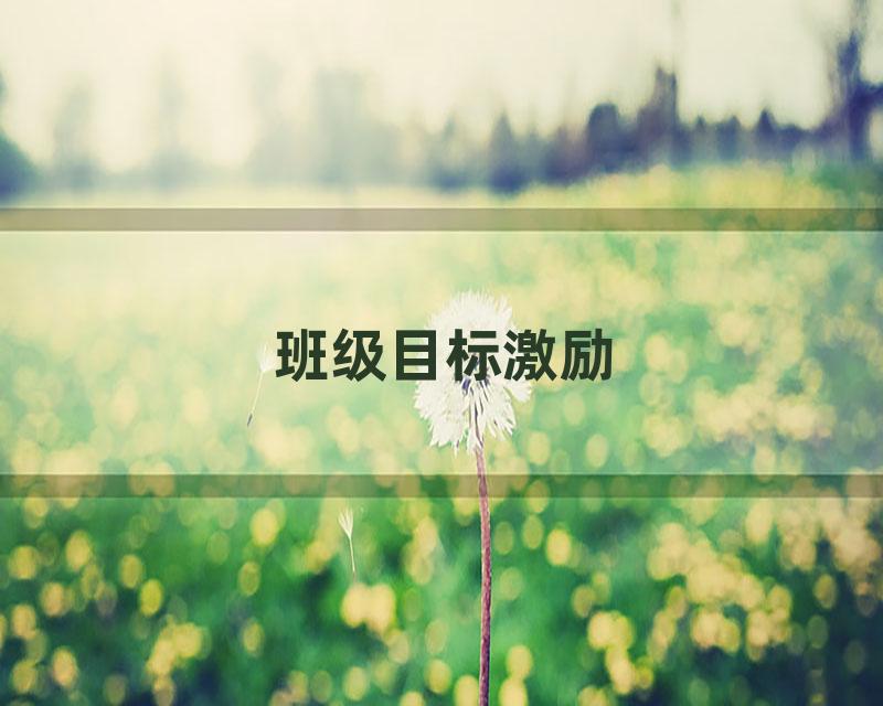 班级目标激励