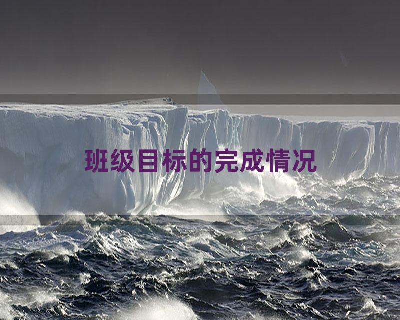 班级目标的完成情况