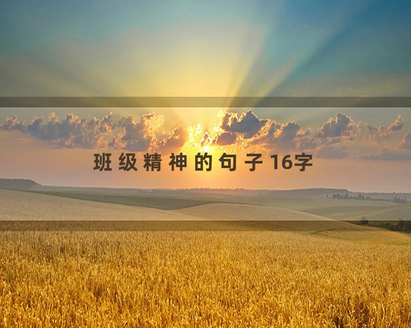 班级精神的句子16字