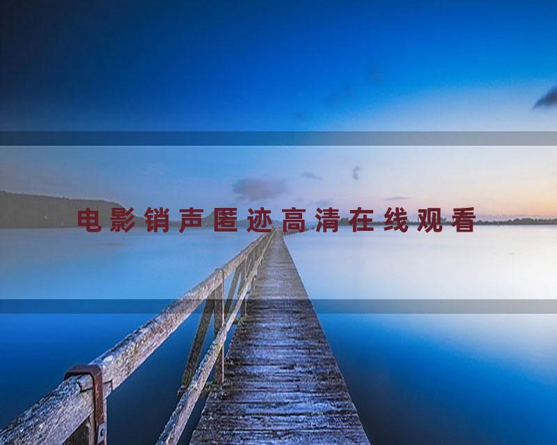 电影销声匿迹高清在线观看