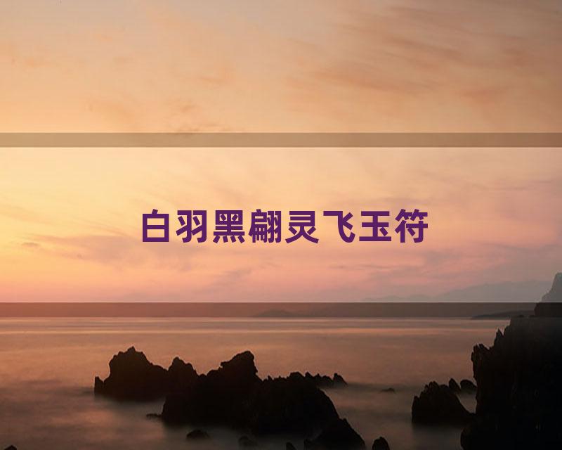 白羽黑翩灵飞玉符