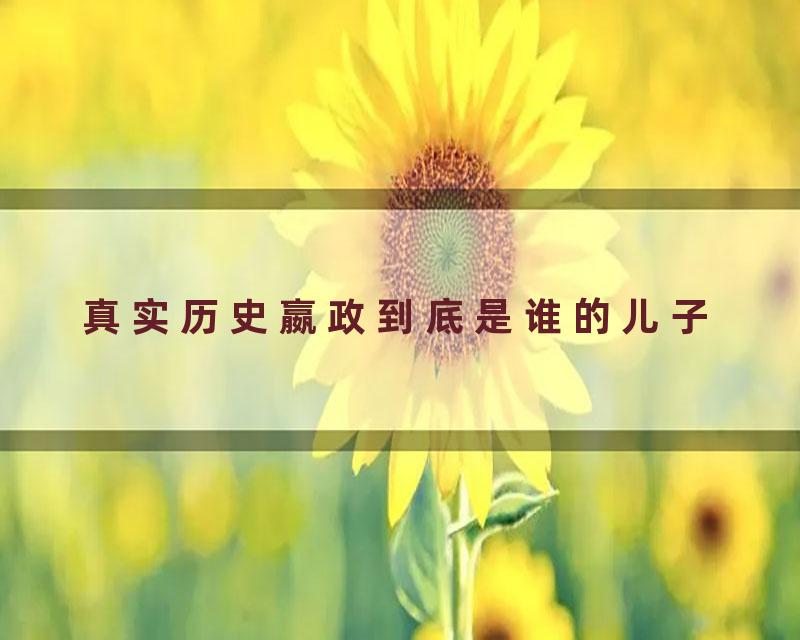 真实历史嬴政到底是谁的儿子