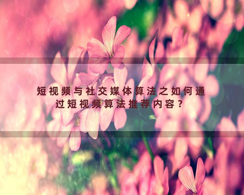 短视频与社交媒体算法之如何通过短视频算法推荐内容？