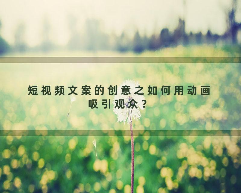 短视频文案的创意之如何用动画吸引观众？