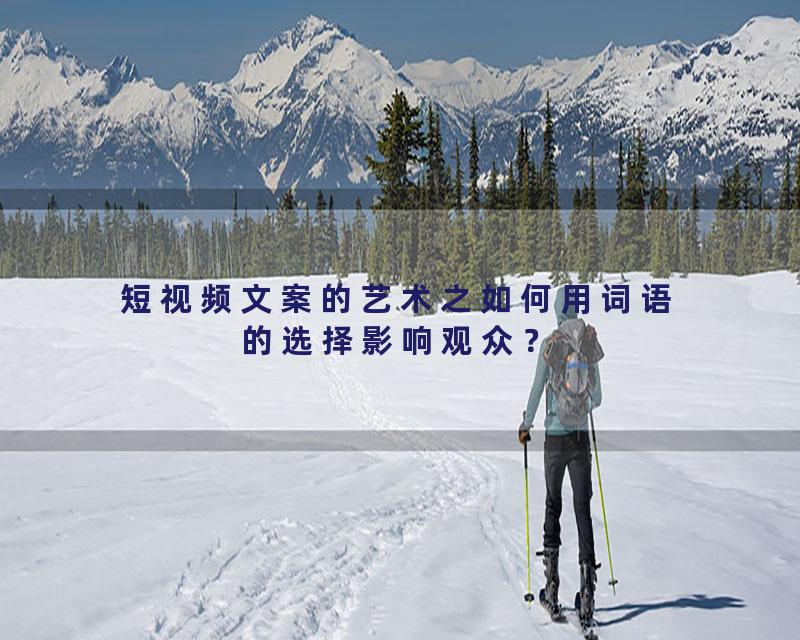 短视频文案的艺术之如何用词语的选择影响观众？