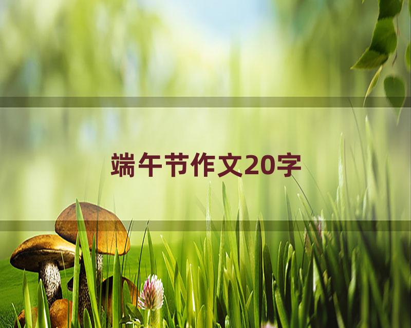 端午节作文20字