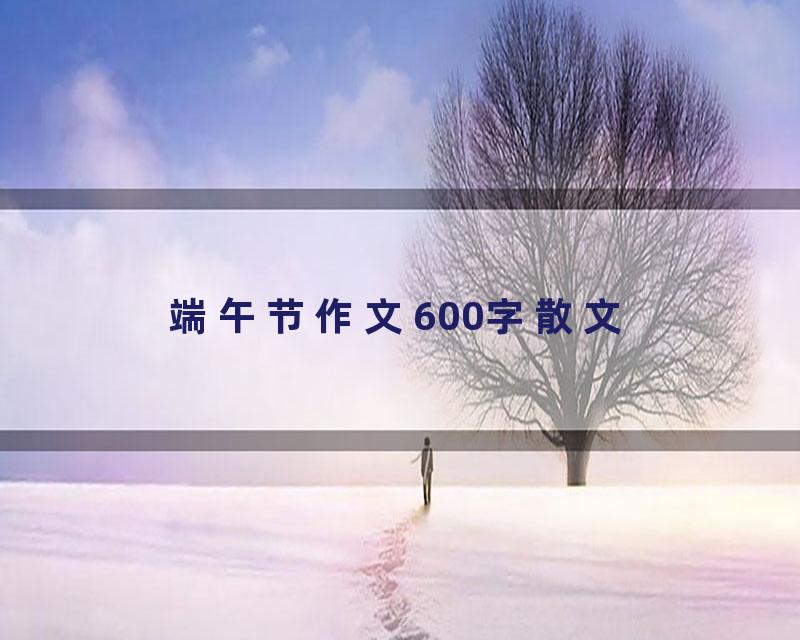 端午节作文600字散文