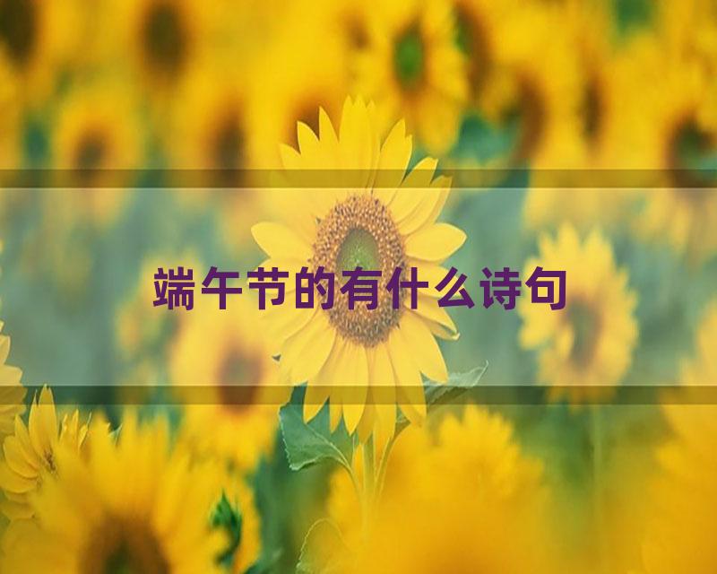 端午节的有什么诗句