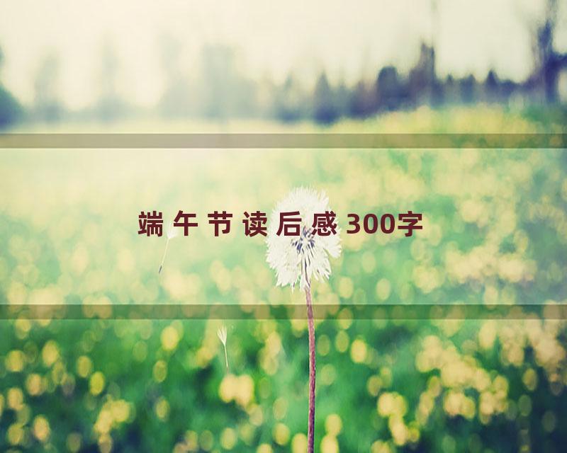 端午节读后感300字