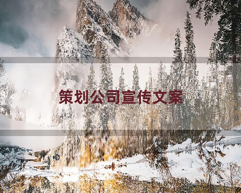 策划公司宣传文案