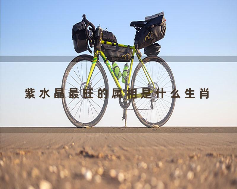 紫水晶最旺的属相是什么生肖