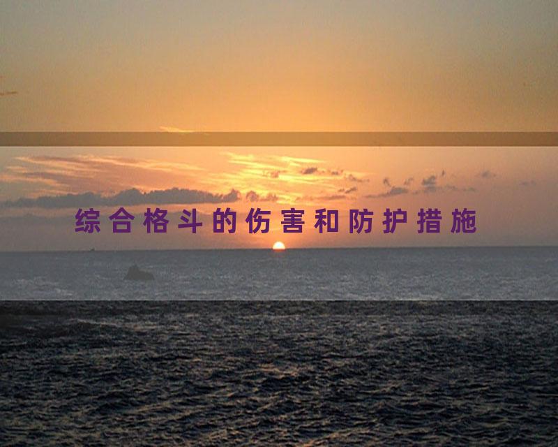 综合格斗的伤害和防护措施