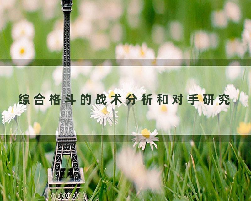 综合格斗的战术分析和对手研究