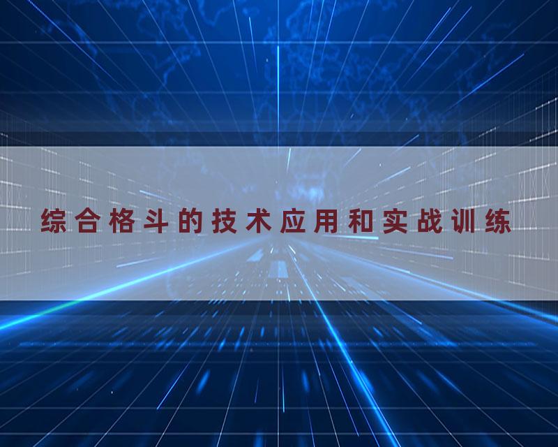 综合格斗的技术应用和实战训练