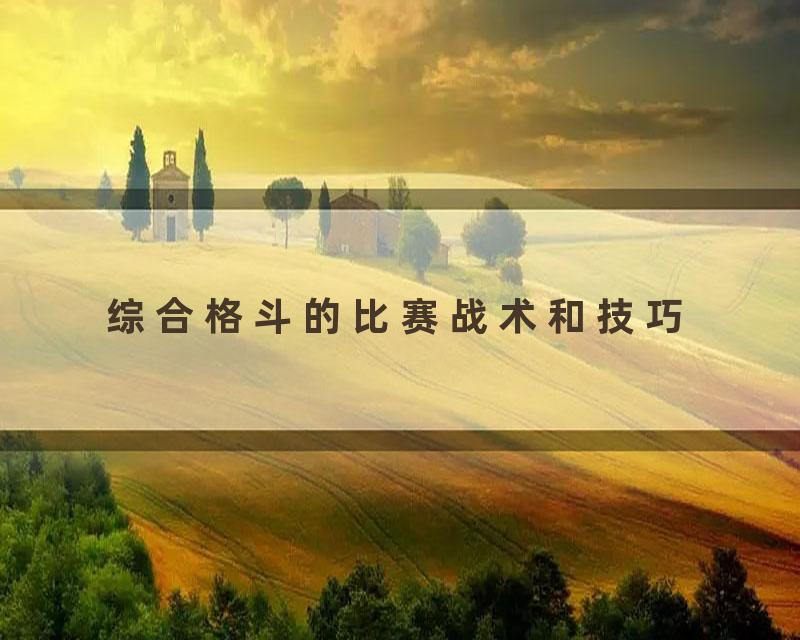 综合格斗的比赛战术和技巧