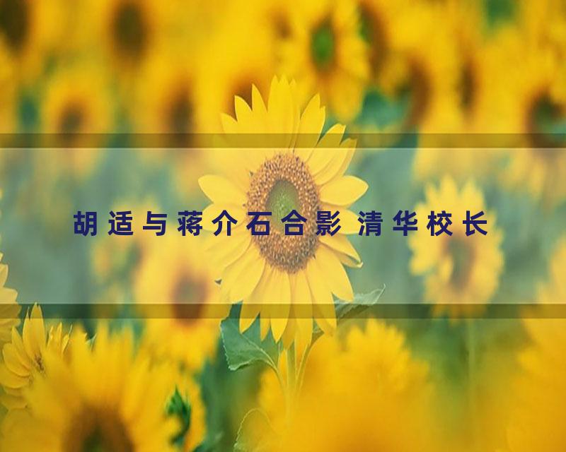 胡适与蒋介石合影 清华校长