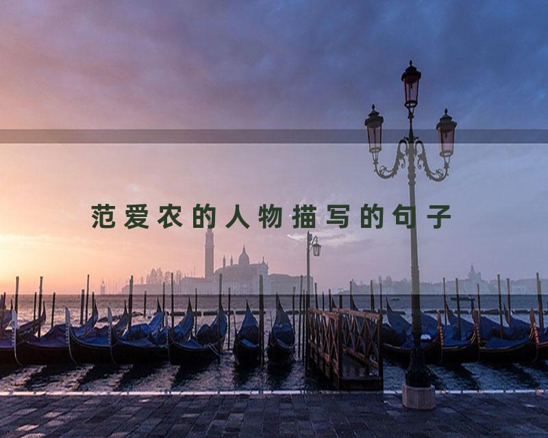 范爱农的人物描写的句子