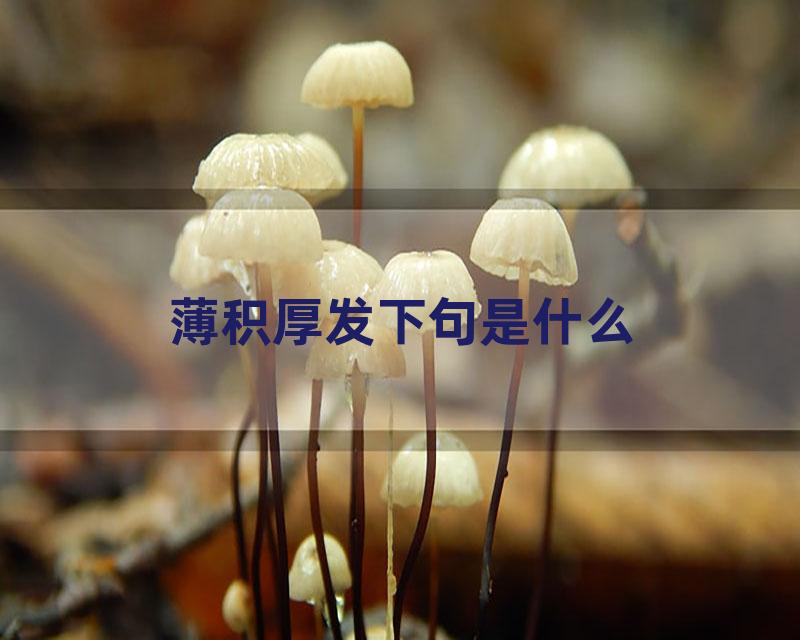 薄积厚发下句是什么