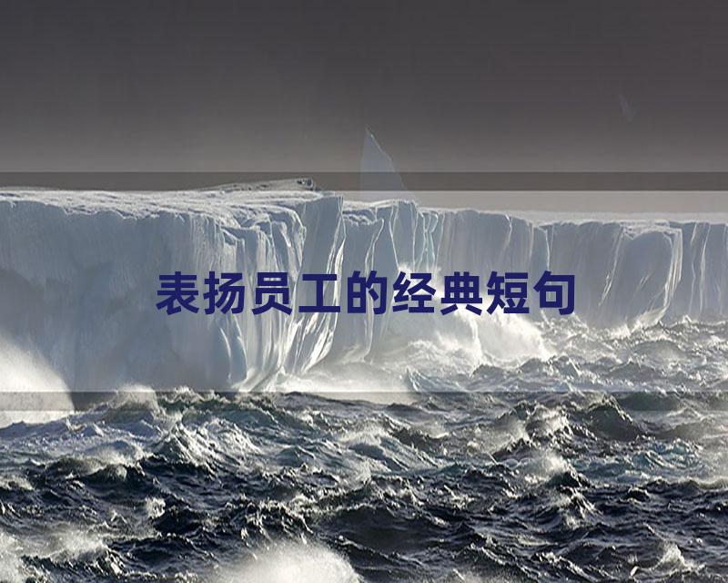 表扬员工的经典短句