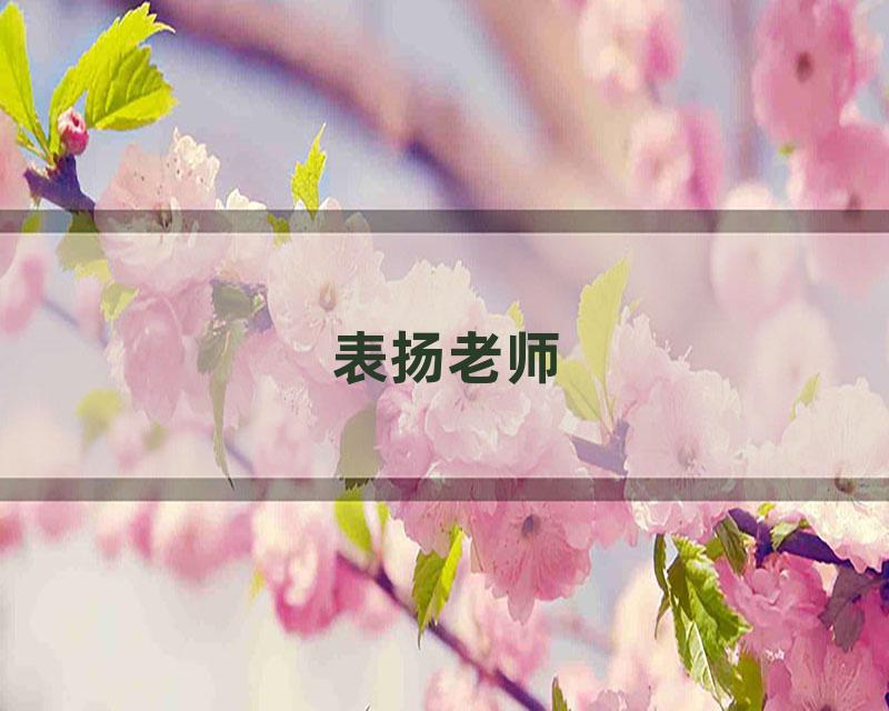 表扬老师
