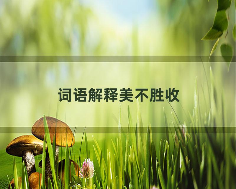 词语解释美不胜收