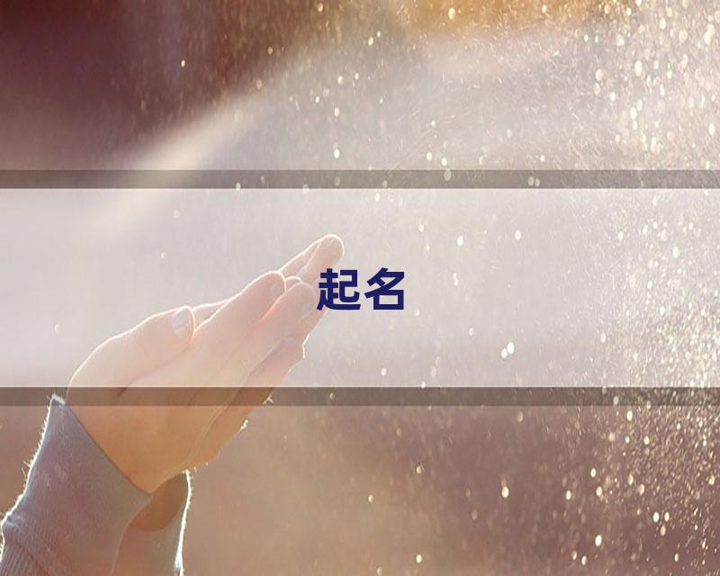 起名