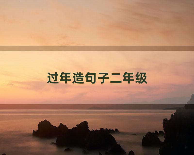 过年造句子二年级