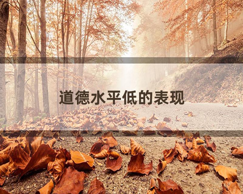 道德水平低的表现