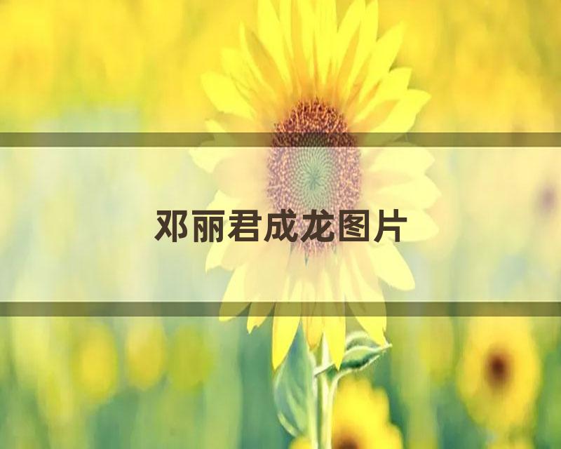 邓丽君成龙图片