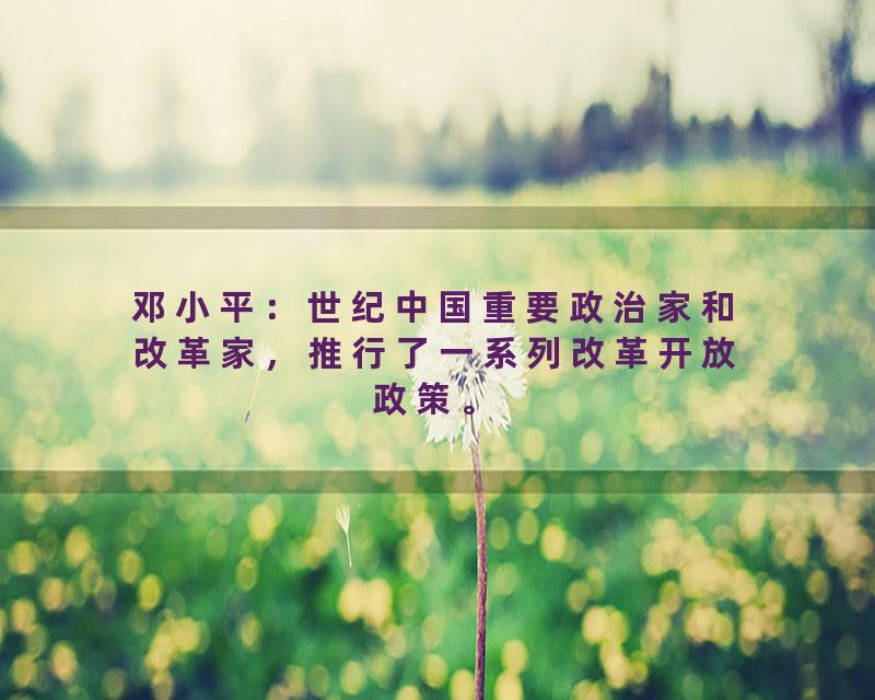 邓小平：世纪中国重要政治家和改革家，推行了一系列改革开放政策。
