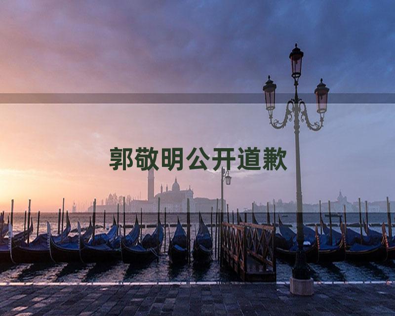 郭敬明公开道歉