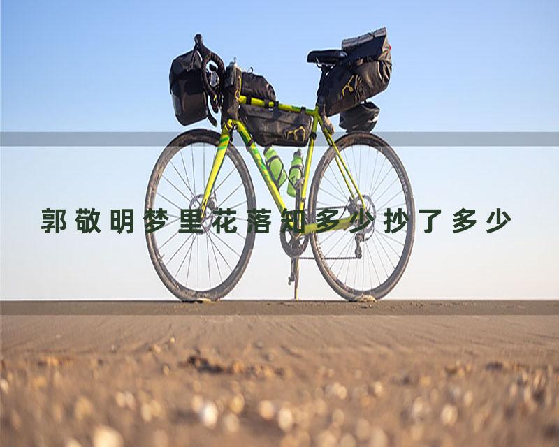 郭敬明梦里花落知多少抄了多少