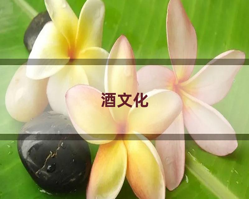 酒文化