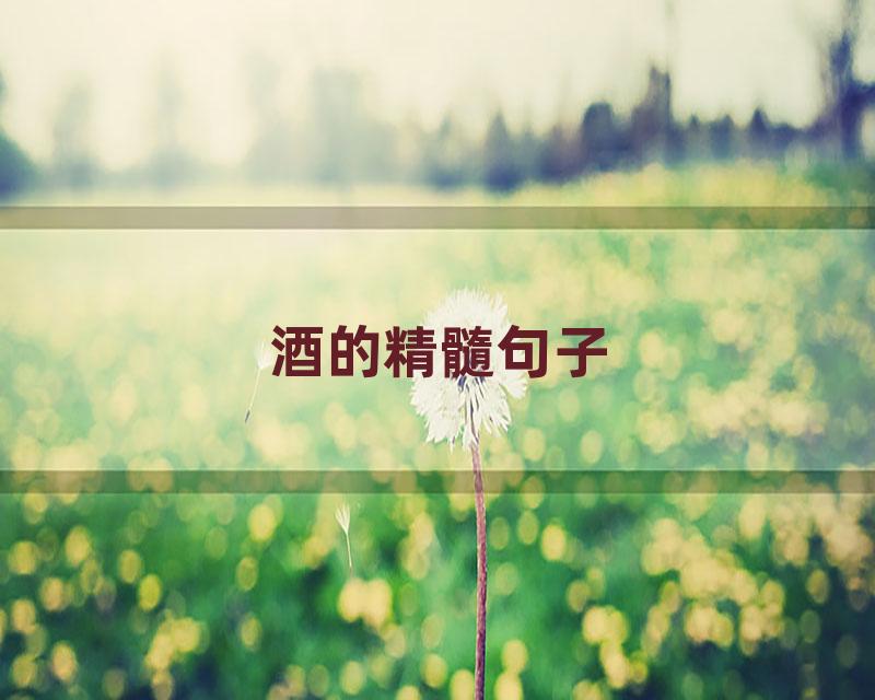 酒的精髓句子
