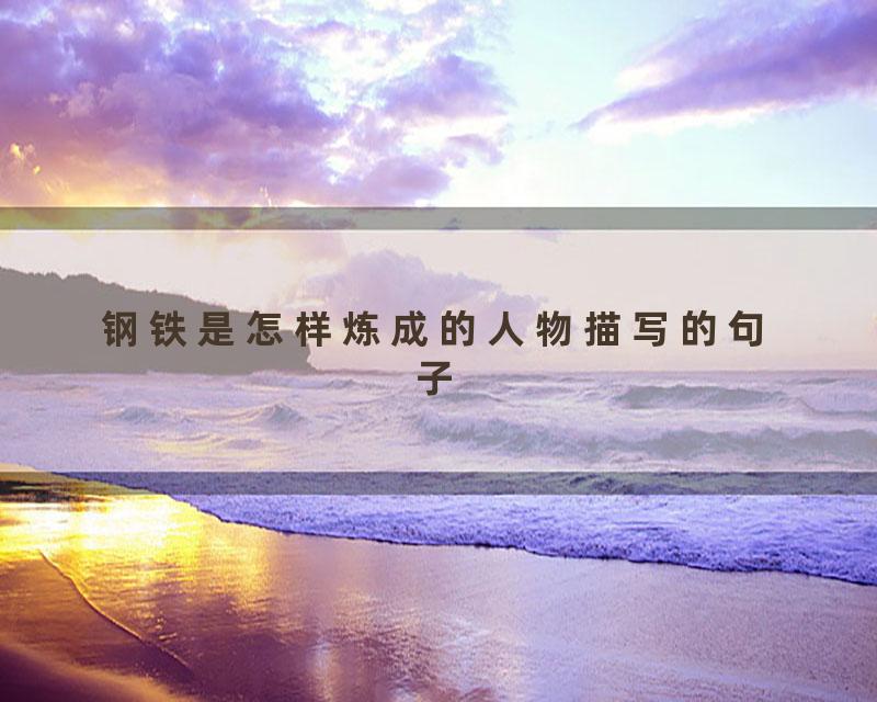 钢铁是怎样炼成的人物描写的句子