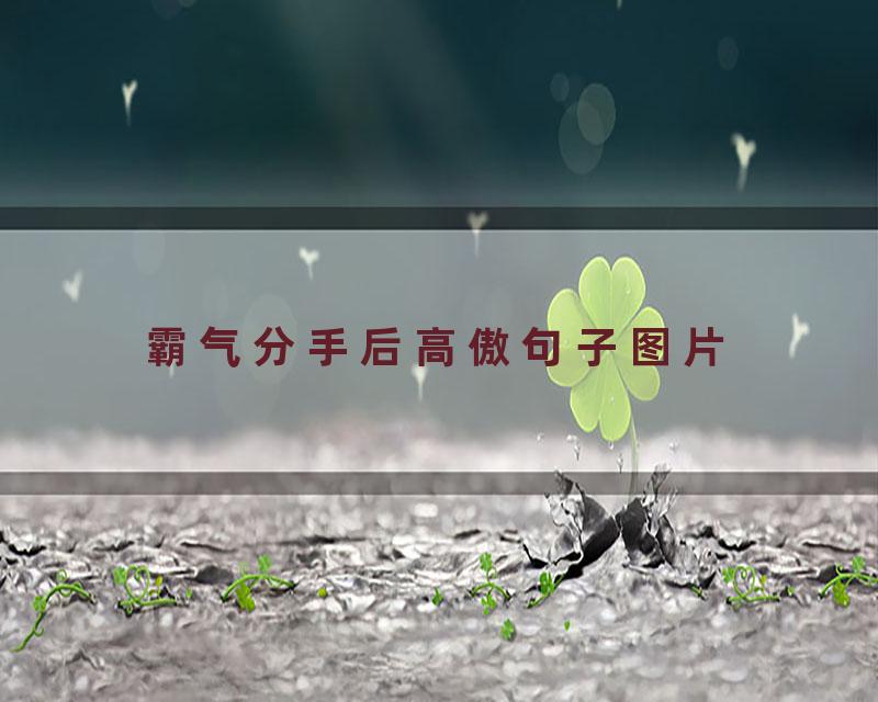 霸气分手后高傲句子图片