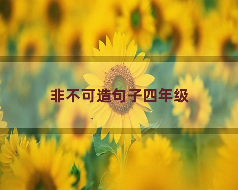 非不可造句子四年级