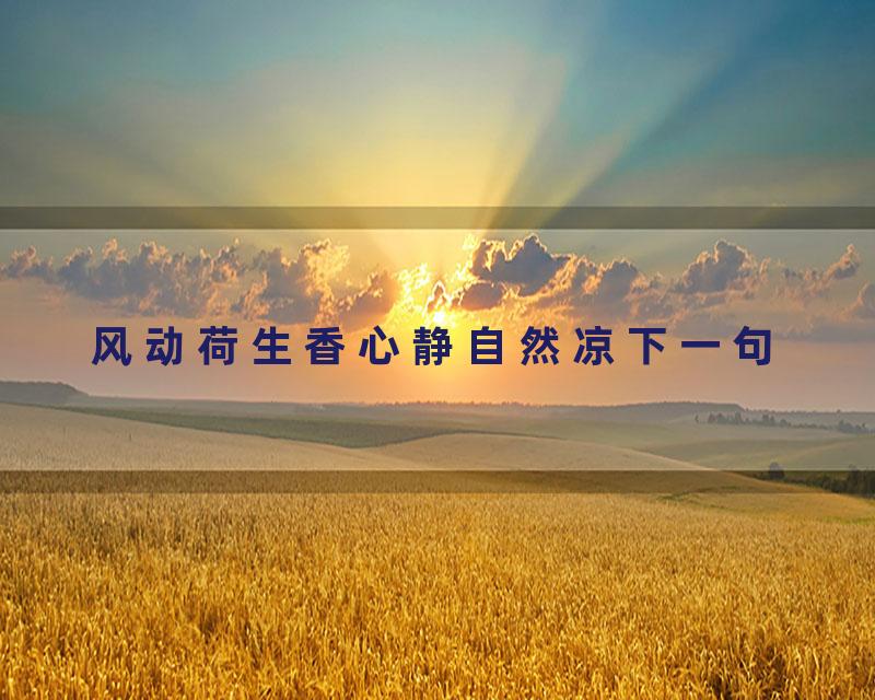 风动荷生香心静自然凉下一句