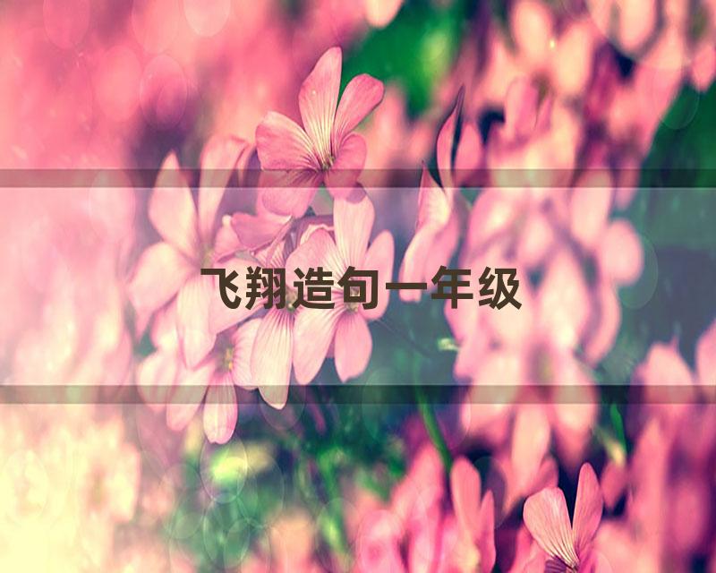 飞翔造句一年级