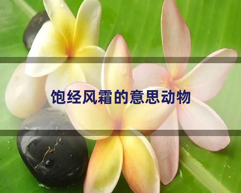 饱经风霜的意思动物