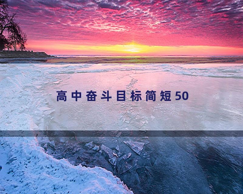 高中奋斗目标简短50