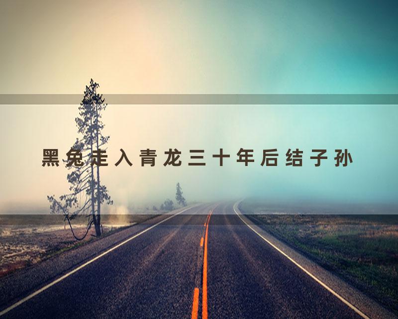 黑兔走入青龙三十年后结子孙