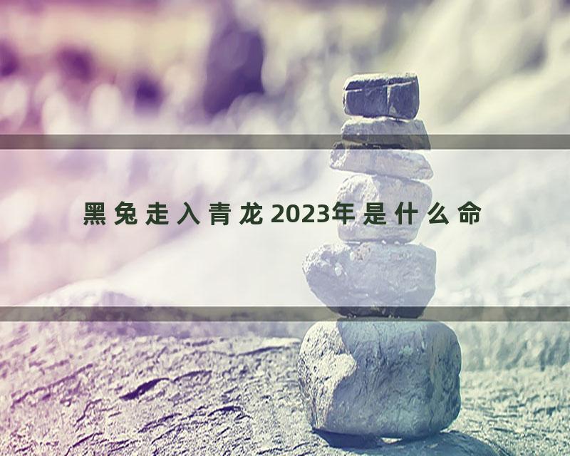 黑兔走入青龙2023年是什么命
