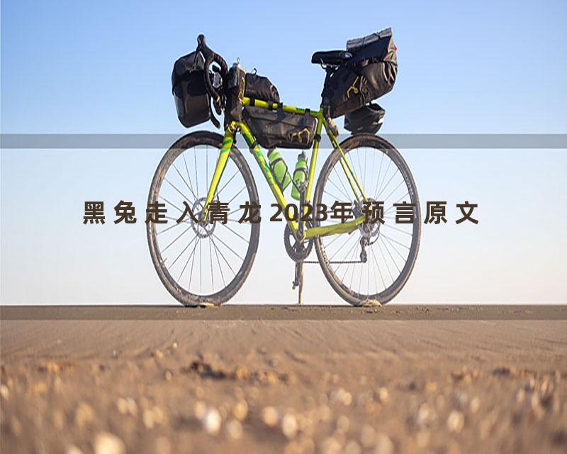 黑兔走入青龙2023年预言原文