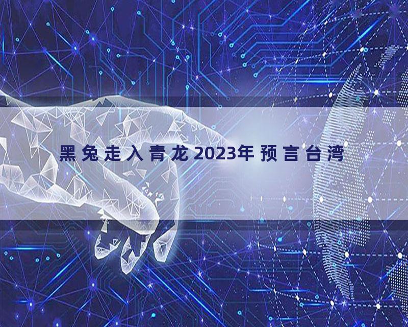 黑兔走入青龙2023年预言台湾