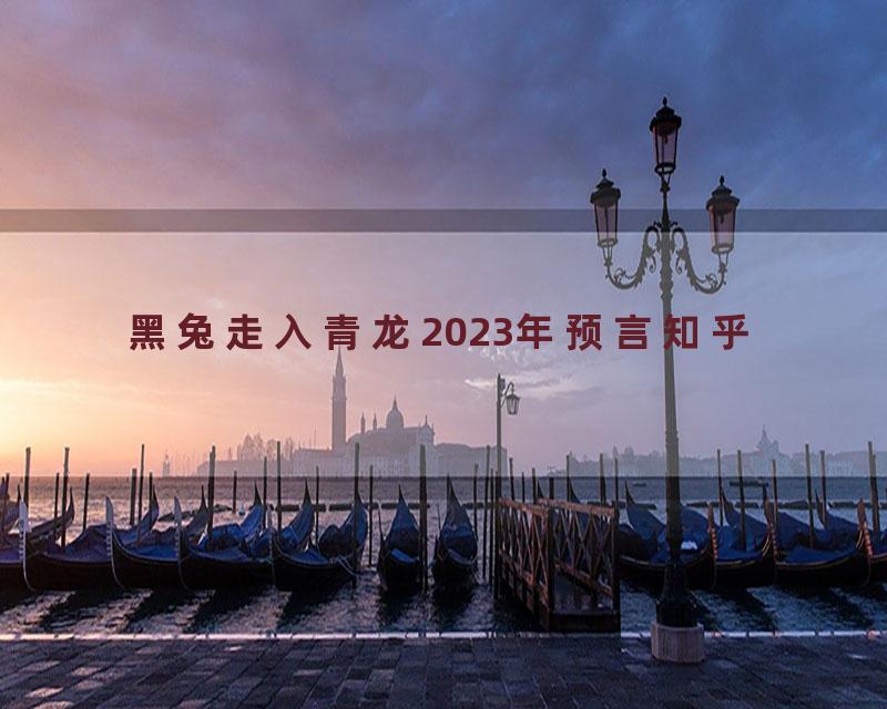 黑兔走入青龙2023年预言知乎