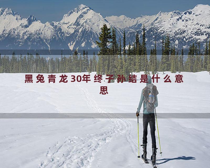黑兔青龙30年终子孙结是什么意思