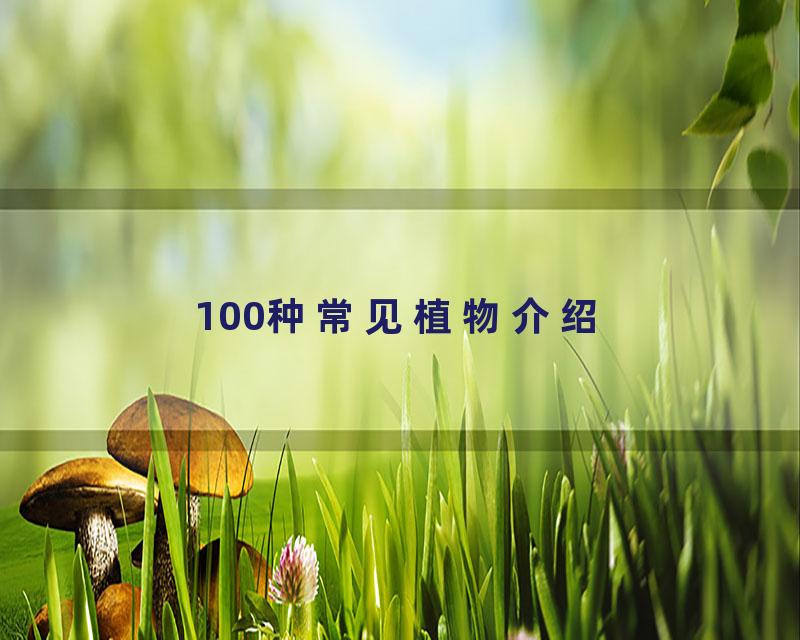 100种常见植物介绍